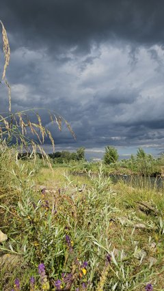Naga plaża w Stadłach 29.06.2025