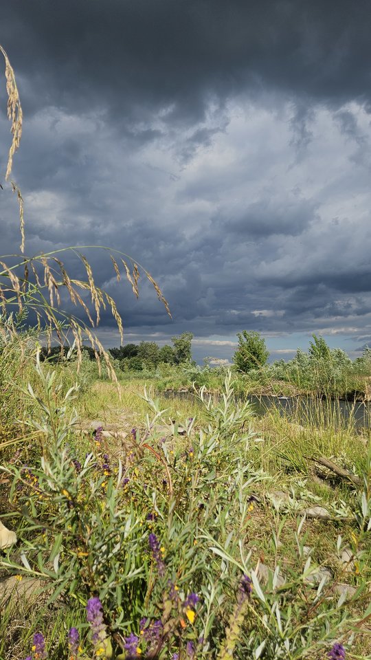 Naga plaża w Stadłach 29.06.2025 - nowytomas