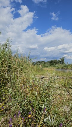 Naga plaża w Stadłach 29.06.2025