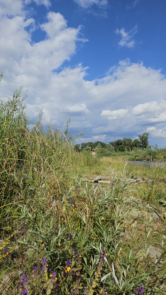 Naga plaża w Stadłach 29.06.2025 - nowytomas