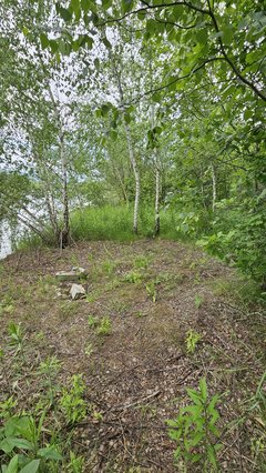 Naga plaża w Stadłach 1.06.2025