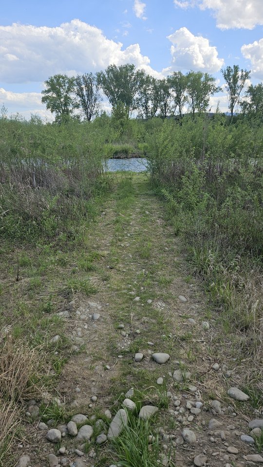 Naga plaża w Stadłach 2.05.2025 - nowytomas