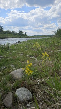 Naga plaża w Stadłach 2.05.2025
