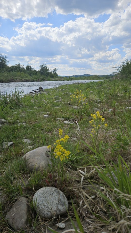 Naga plaża w Stadłach 2.05.2025 - nowytomas