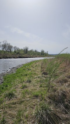 Naga plaża w Stadłach 17.04.2025