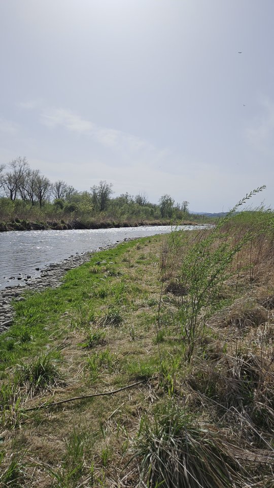Naga plaża w Stadłach 17.04.2025 - nowytomas