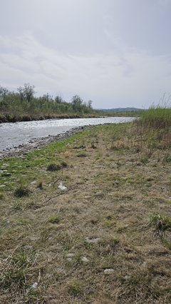 Naga plaża w Stadłach 17.04.2025