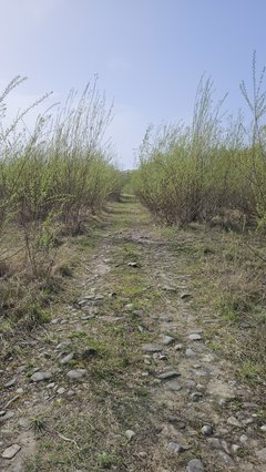 Naga plaża w Stadłach 17.04.2025