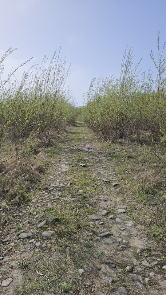 Naga plaża w Stadłach 17.04.2025 - nowytomas