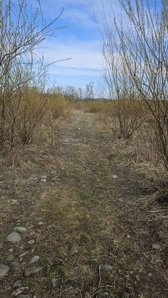 Naga plaża w Stadłach 13.04.2025