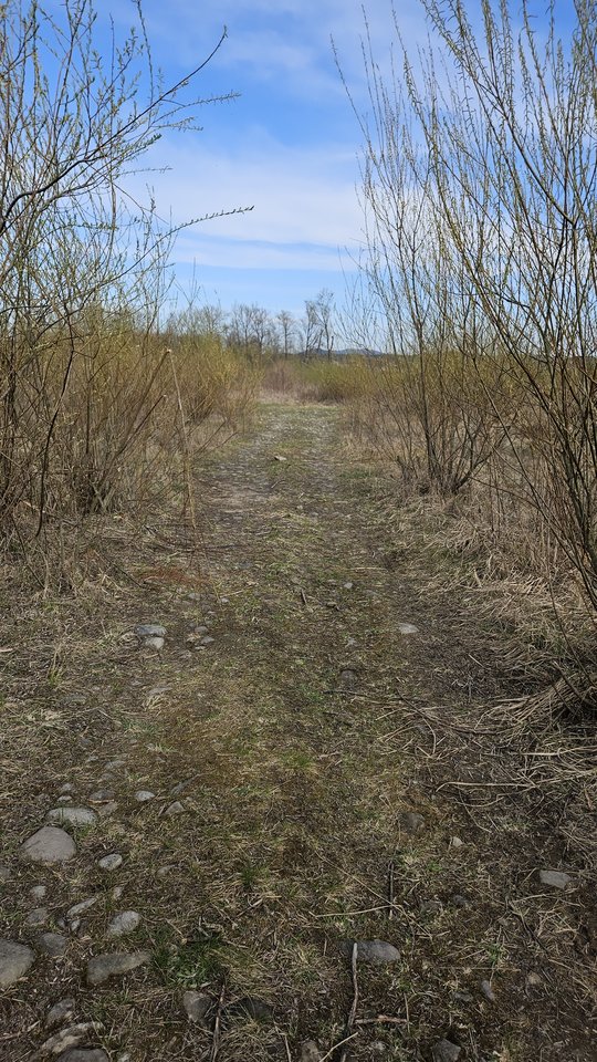 Naga plaża w Stadłach 13.04.2025 - nowytomas