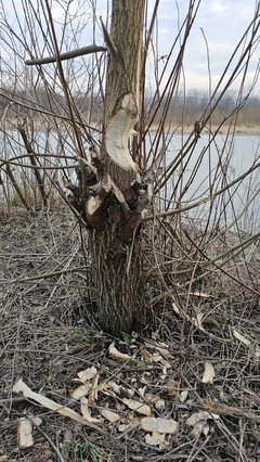 Naga plaża w Stadłach 9.03.2025