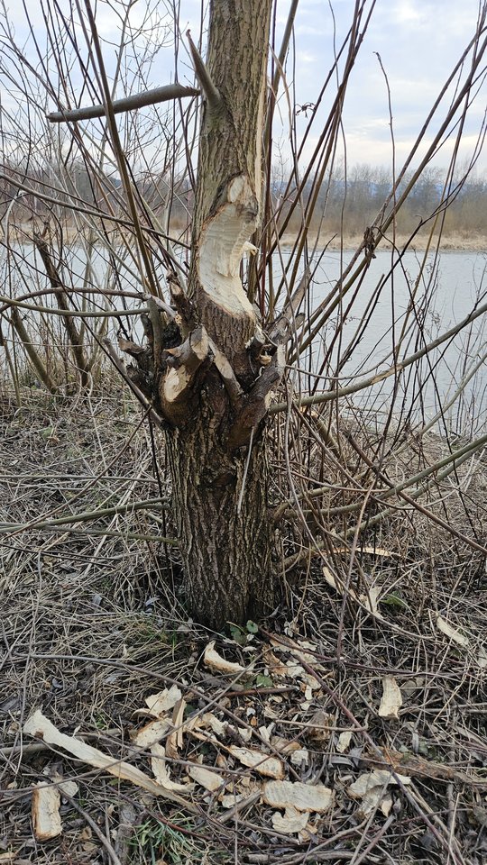 Naga plaża w Stadłach 9.03.2025 - nowytomas