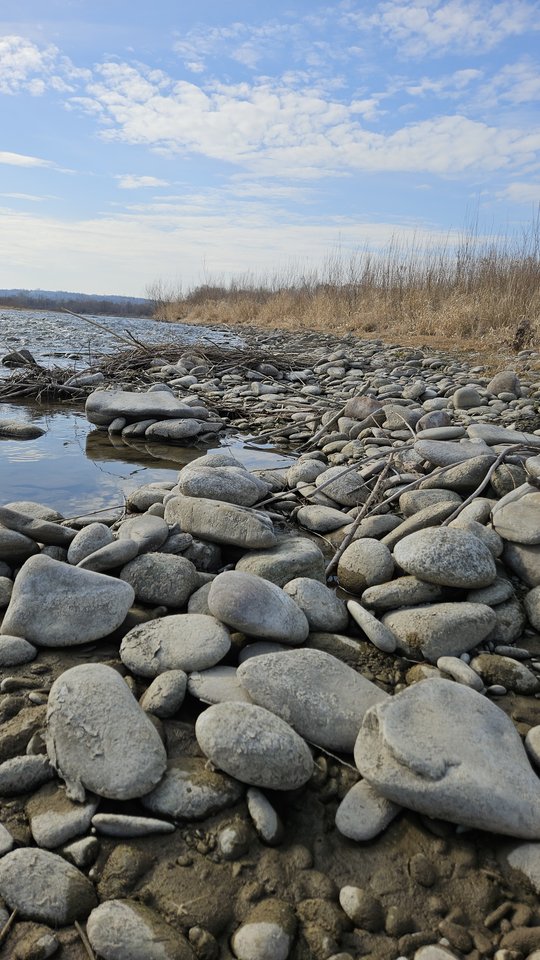 Naga plaża w Stadłach 9.03.2025 - nowytomas