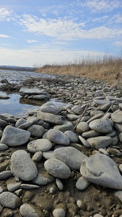 Naga plaża w Stadłach 9.03.2025