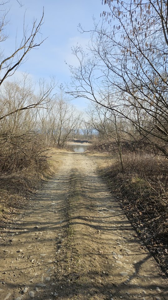 Naga plaża w Stadłach 9.03.2025 - nowytomas