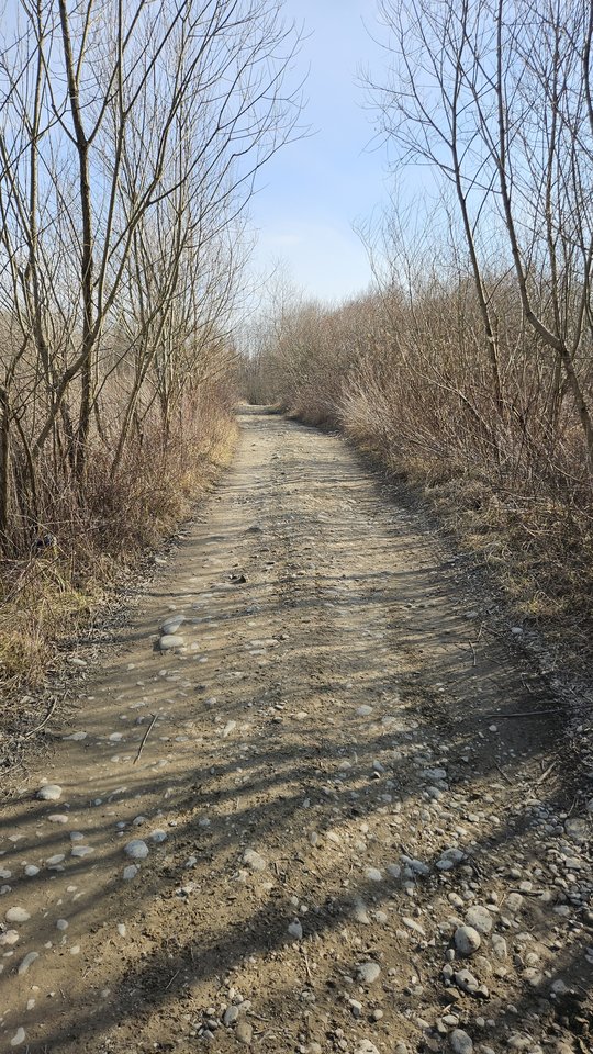 Naga plaża w Stadłach 9.03.2025 - nowytomas