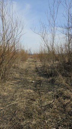 Naga plaża w Stadłach 9.03.2025