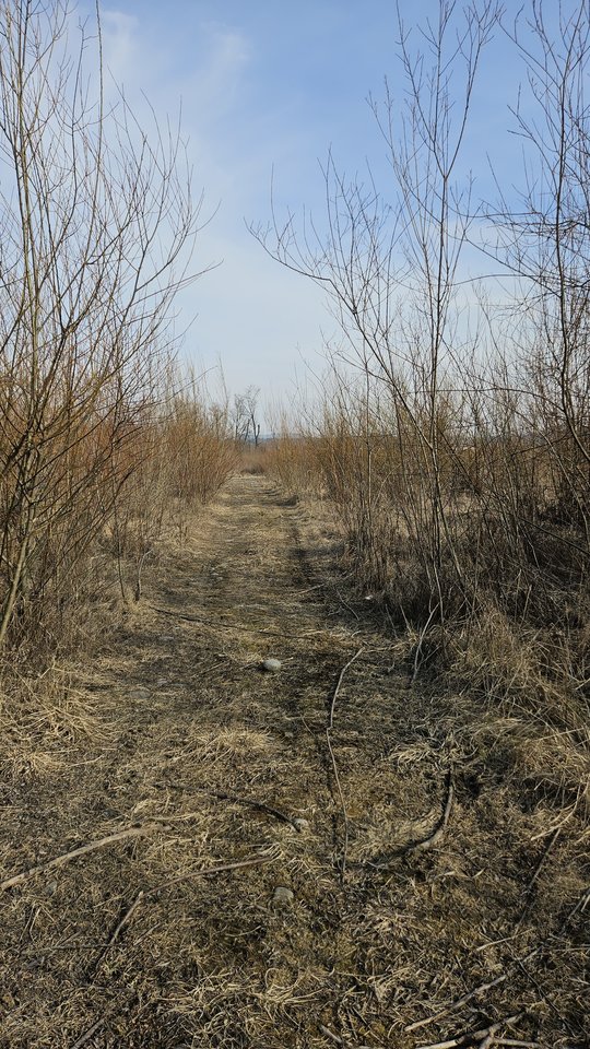 Naga plaża w Stadłach 9.03.2025 - nowytomas