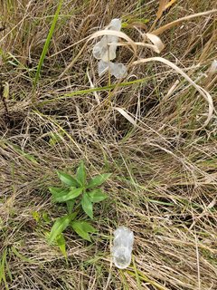 Naga plaża w Stadłach 12.09.2024