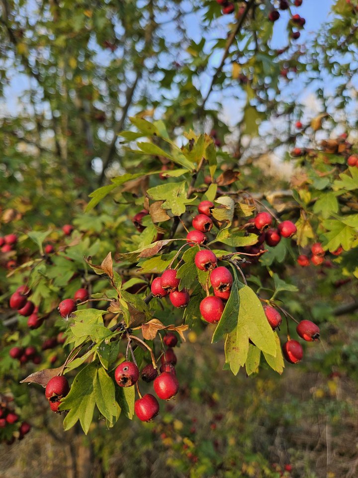 Naga plaża w Stadłach 7.09.2024 - nowytomas