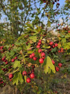 Naga plaża w Stadłach 7.09.2024