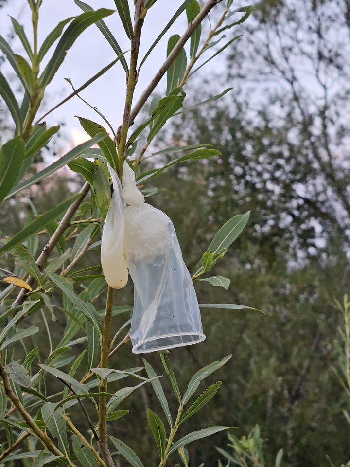 Naga plaża w Stadłach 30.08.2024 - nowytomas