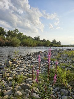 Naga plaża w Stadłach 18.08.2024