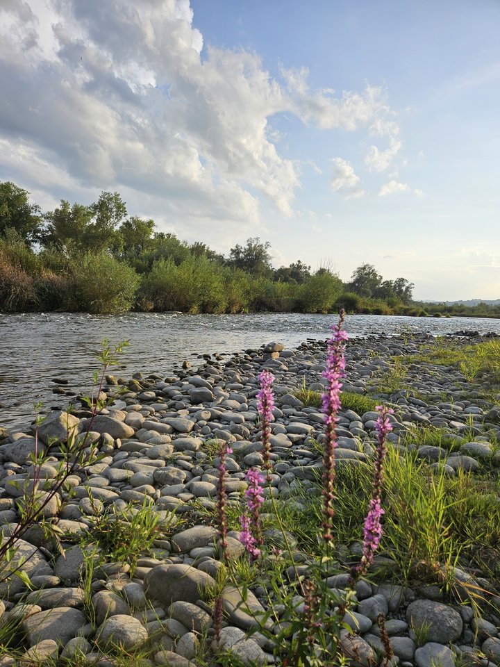 Naga plaża w Stadłach 18.08.2024 - nowytomas