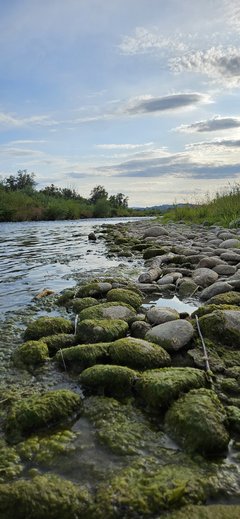 Naga plaża w Stadłach 31.07.2024