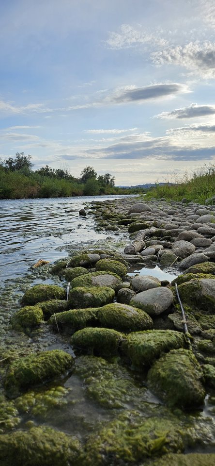 Naga plaża w Stadłach 31.07.2024 - nowytomas