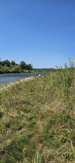 Naga plaża w Stadłach 27.07.2024