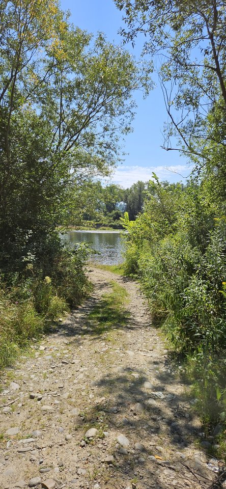 Naga plaża w Stadłach 27.07.2024 - nowytomas