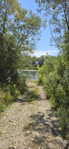 Naga plaża w Stadłach 27.07.2024