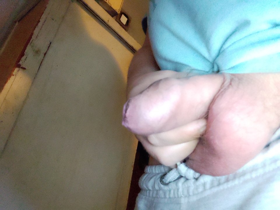 IMG_20260218_164554.jpg - Alvarow2