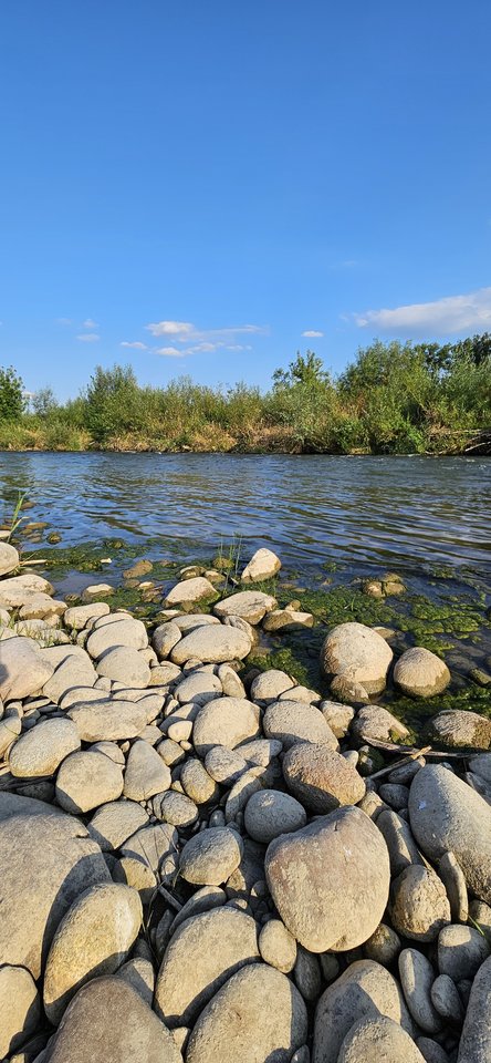 Naga plaża w Stadłach 22.07.2024 - nowytomas