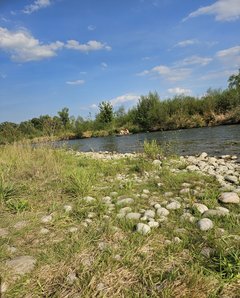 Naga plaża w Stadłach 25.08.2024
