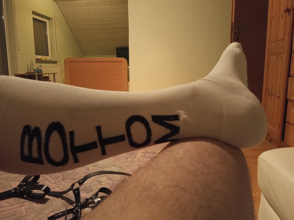 1000005531.jpg - AlphaKing300