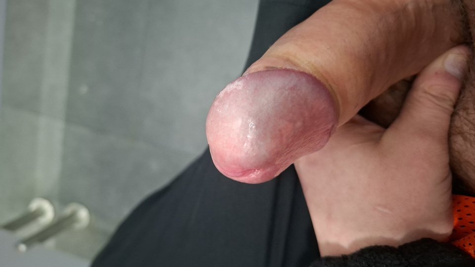 12073.jpg - arbuz711