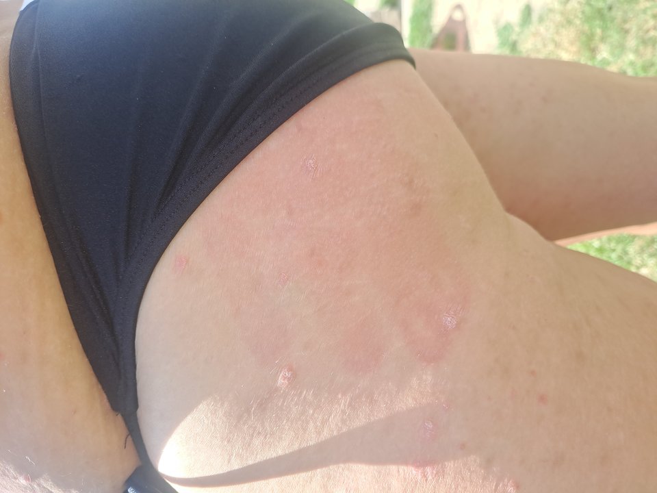 1000033906.jpg - Pareczka8288