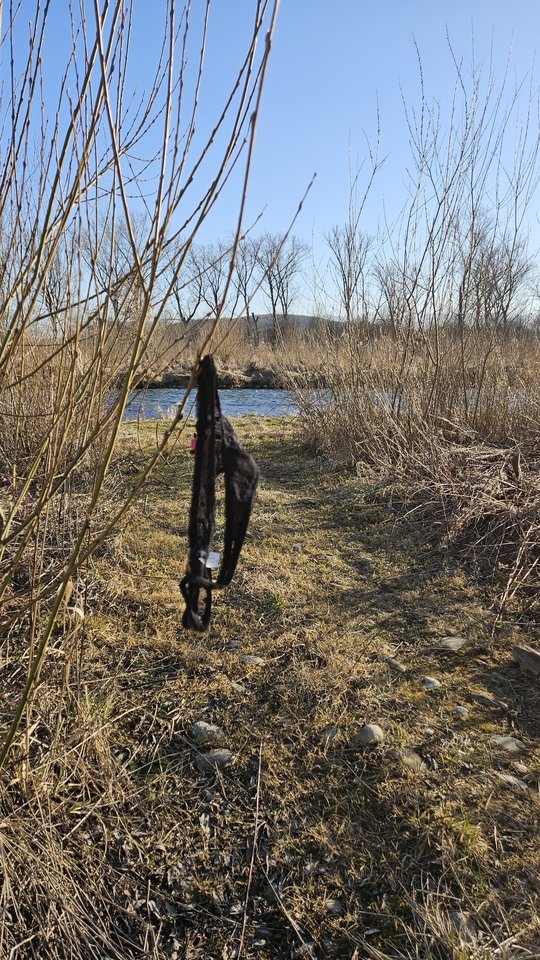 Stadła 5.03.2026 - nowytomas