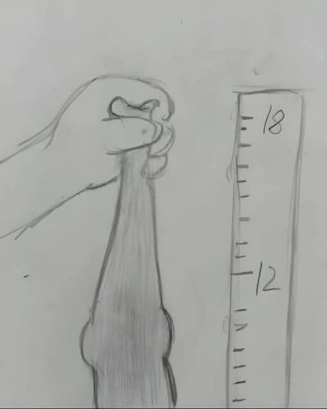 LewBagera