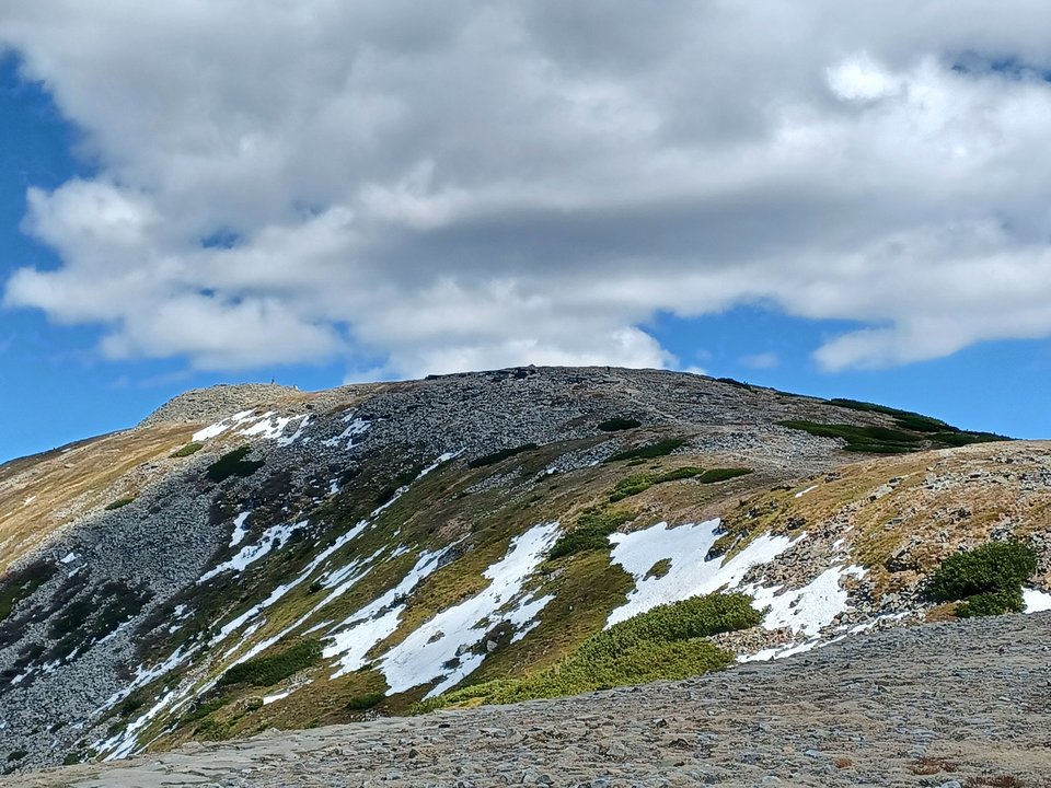 20220510_145031.jpg - 145ol