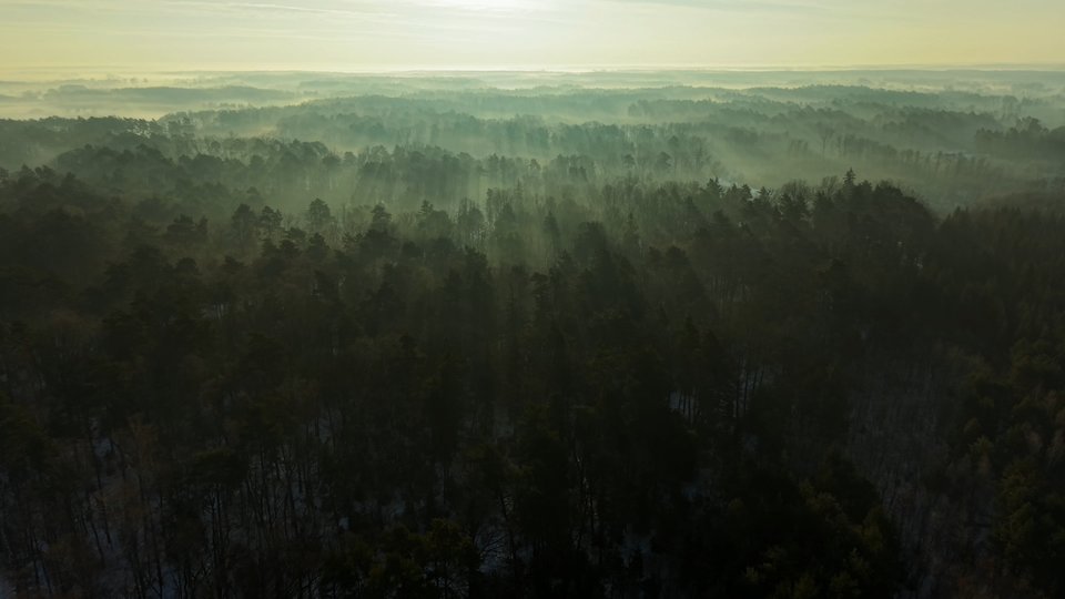 compose_video_1769622237872(1).jpg - PoProstuMajk