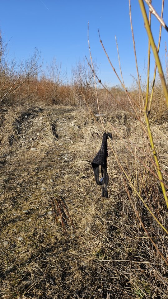 Stadła 5.03.2026 - nowytomas