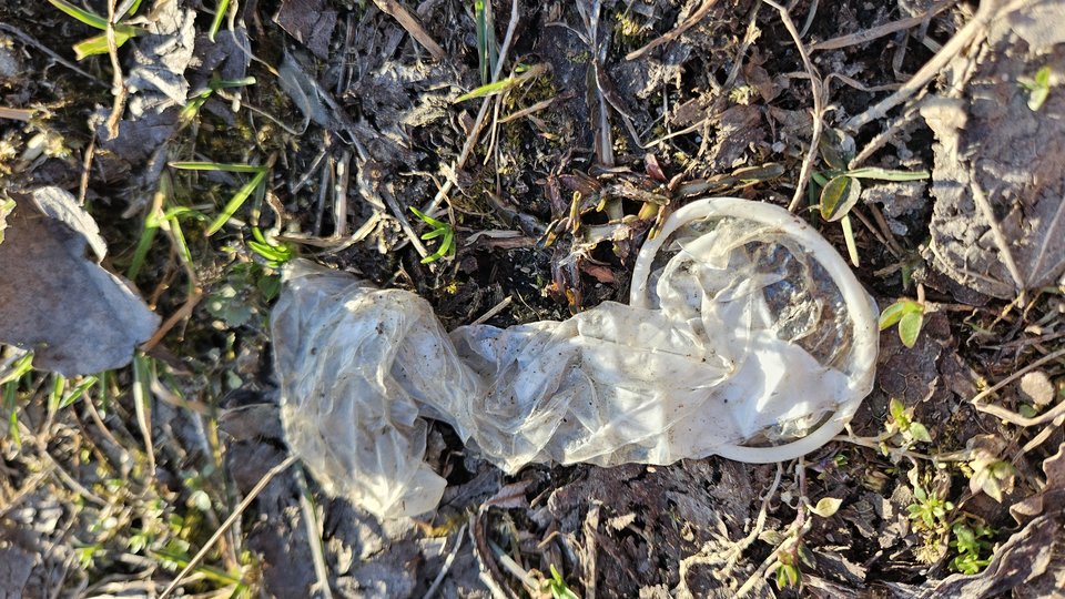 1000050180.jpg - nowytomas