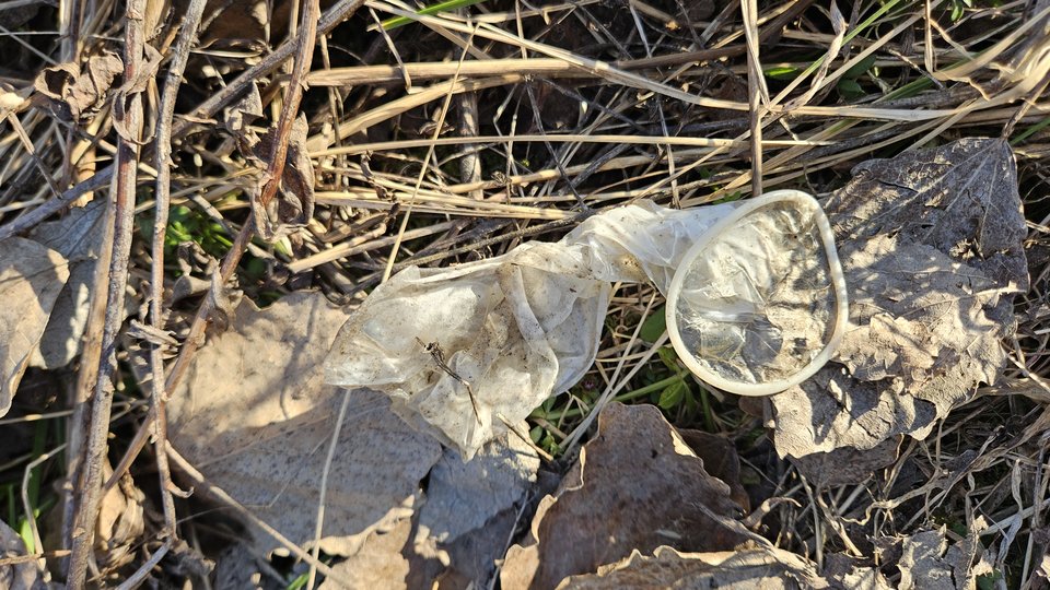 1000050179.jpg - nowytomas