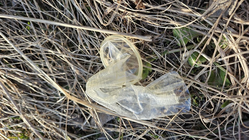 1000050171.jpg - nowytomas