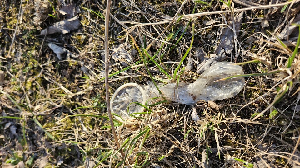 1000050170.jpg - nowytomas