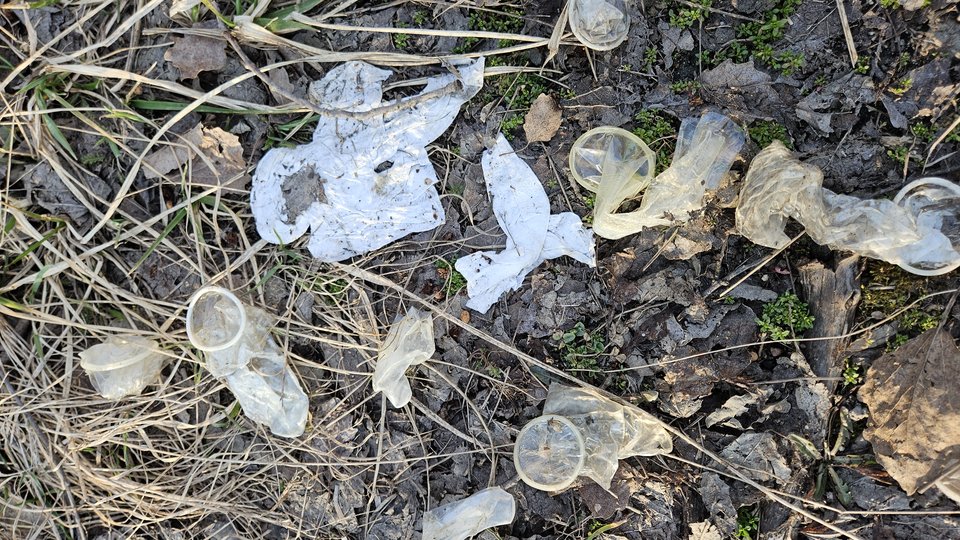 1000050195.jpg - nowytomas